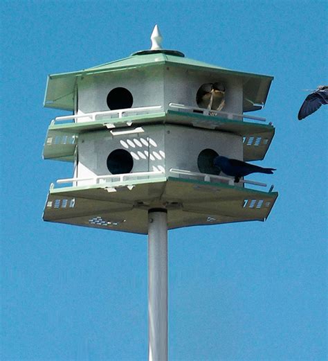 metal martin house|white martin house with pole.